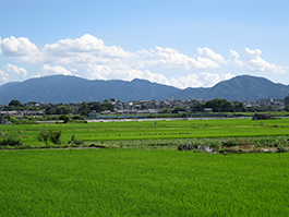 田園風景