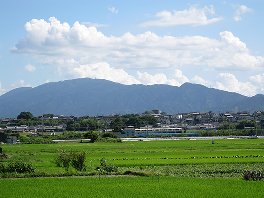 青い田と山並の緑、澄んだ空と白い雲。鮮明な夏の風景の真ん中を白い電車が走る